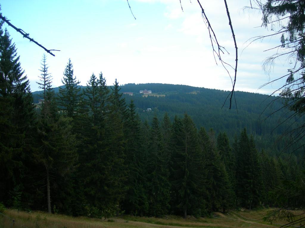 Olympia