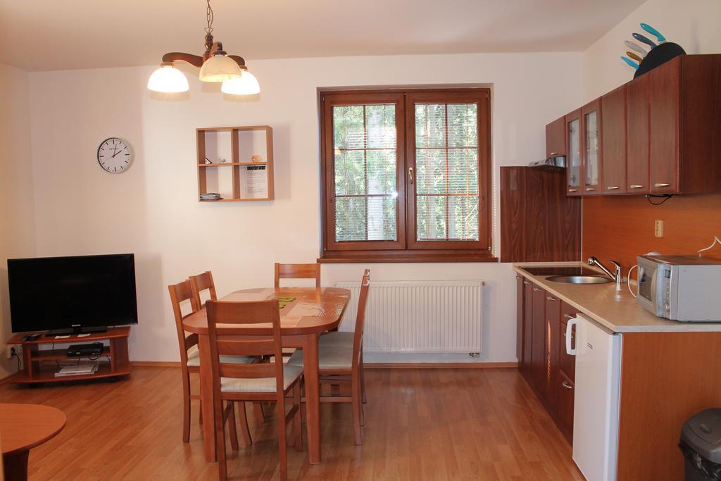 Apartment Olympia Zelezna Ruda