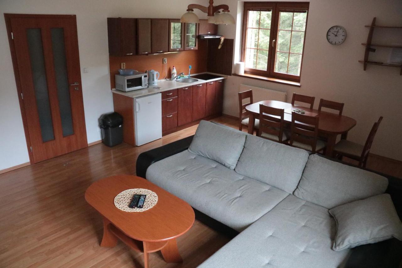 Apartment Olympia Zelezna Ruda